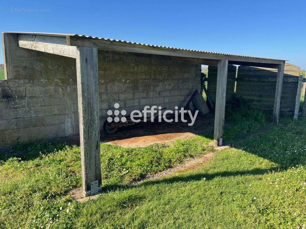 Terrain à TALMONT-SAINT-HILAIRE