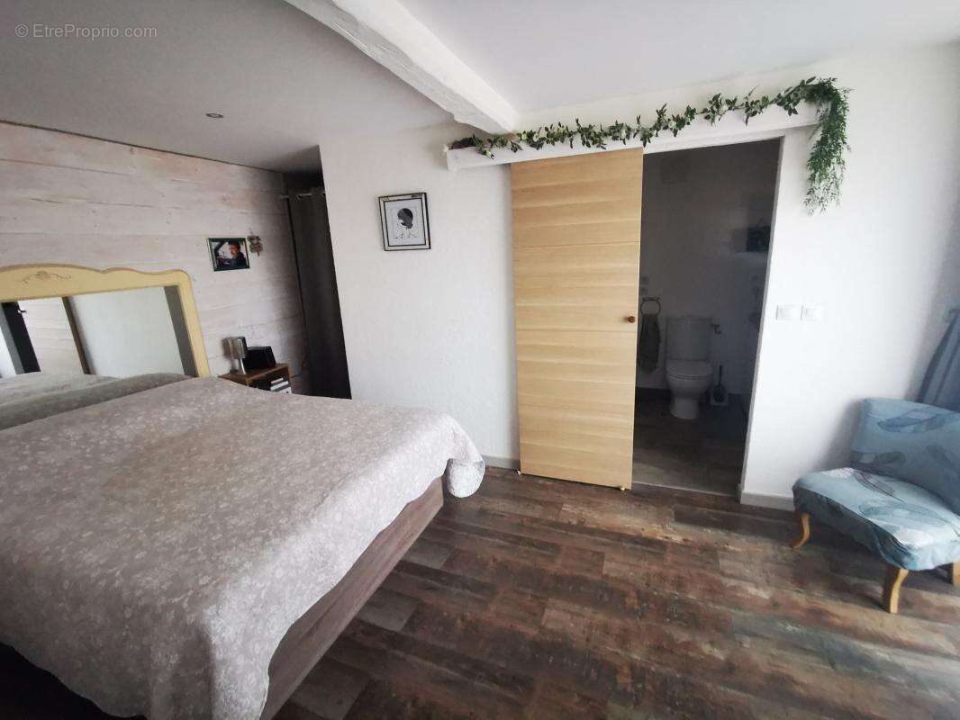 Propriété de 2 maisons avec piscine sur 11ha Armous et Cau ( - photo 6