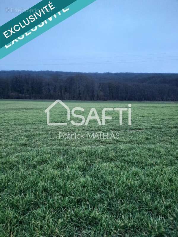 Terrain 2446 m² à Saint-Aubin-Sur-Yonne  - photo 3