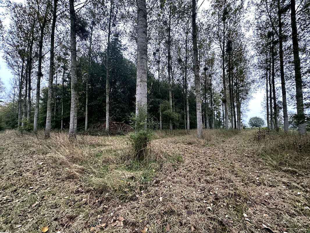 Terrain à LE FAVRIL