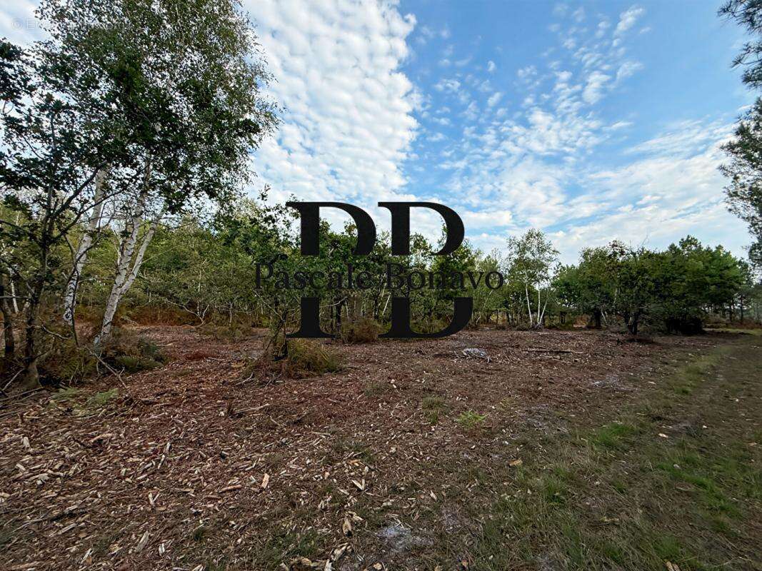 Terrain à VENDAYS-MONTALIVET