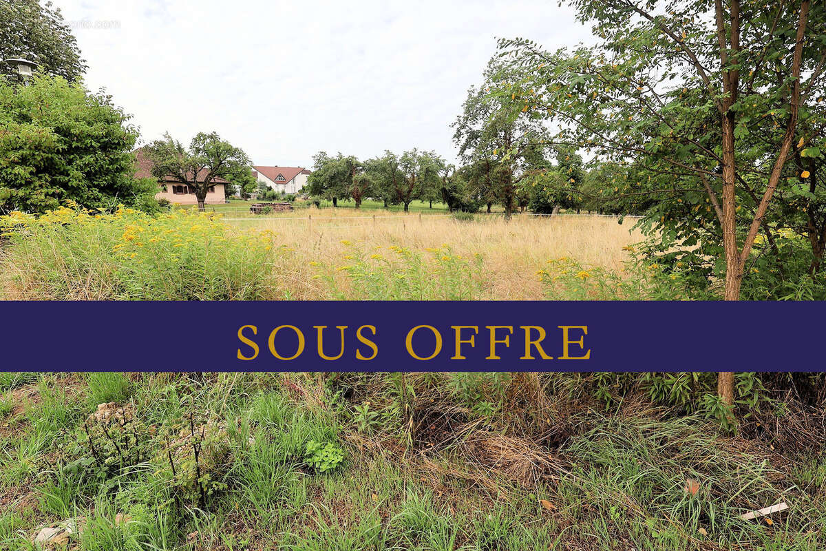 Terrain à HEGENHEIM