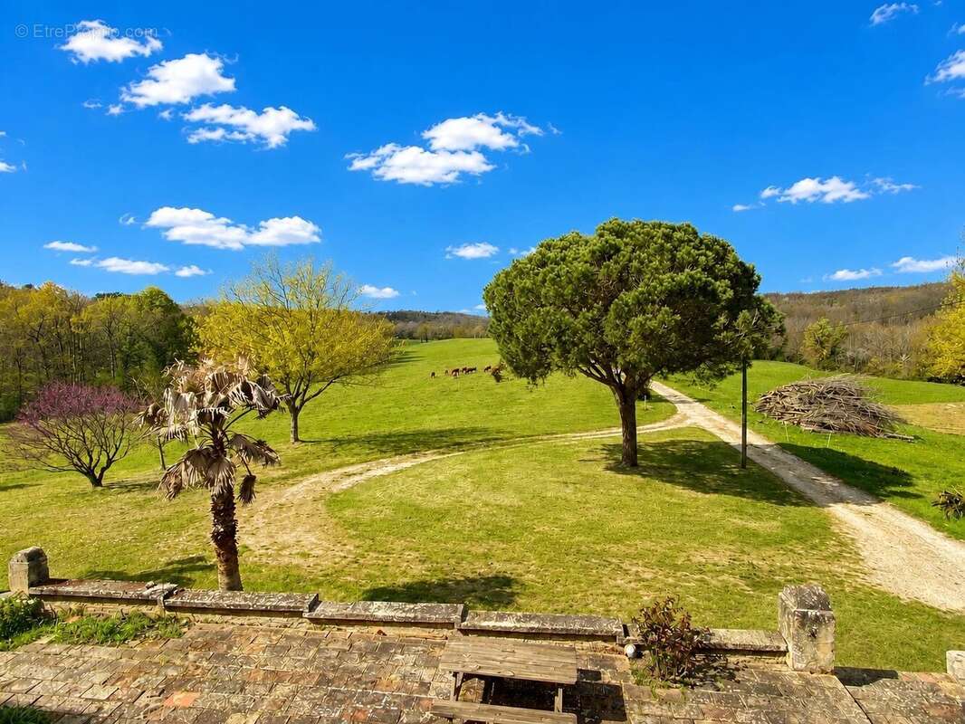 Propriété dans le Tarn et Garonne - photo 5