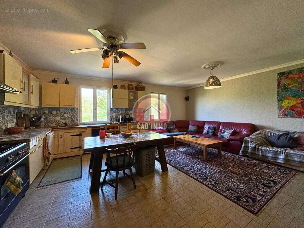 Maison à LE BUISSON-DE-CADOUIN