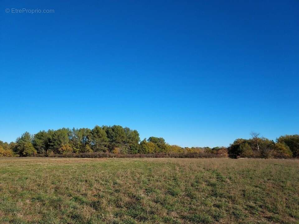 Terrain à FOX-AMPHOUX