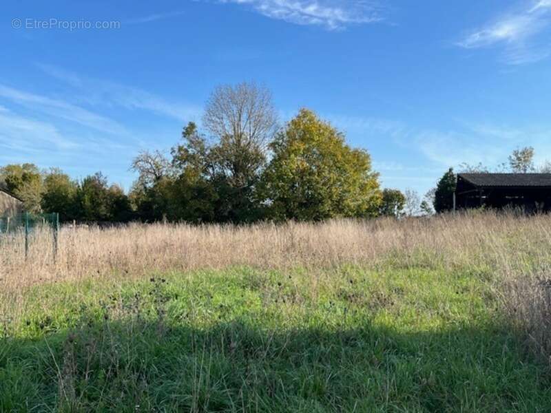 Terrain à SAINT-JEAN-D'ANGELY