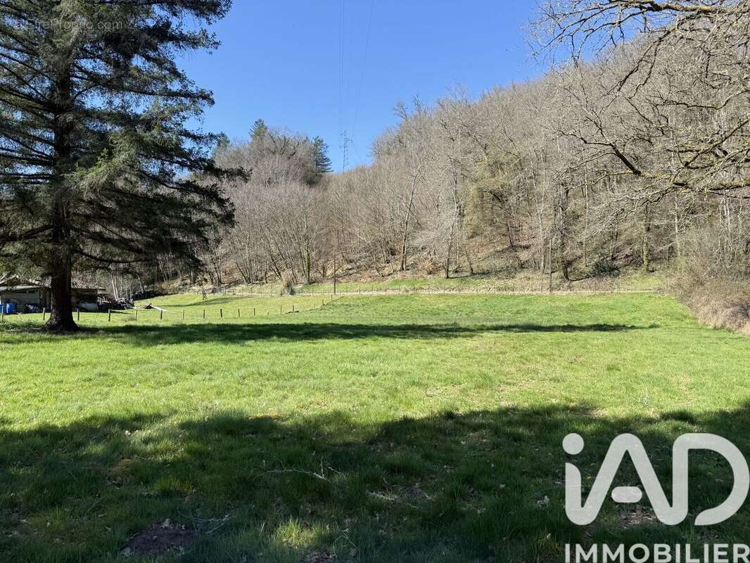 Photo 2 - Terrain à SAINT-PRIEST-TAURION