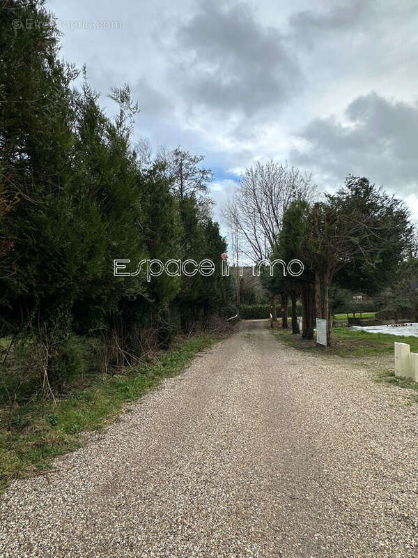 Terrain à MONTVILLE