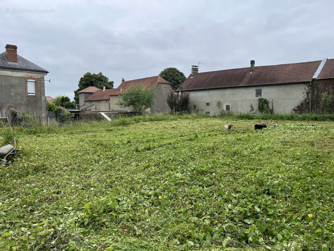 terrain a bâtir - photo 2