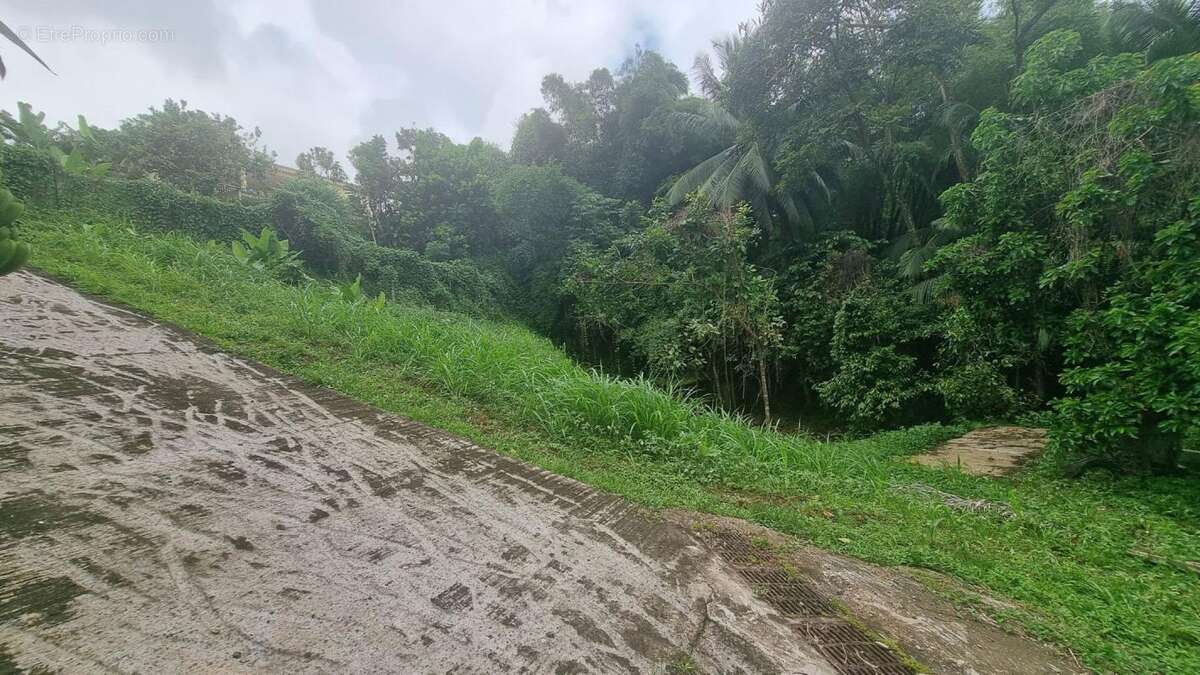 Terrain à FORT-DE-FRANCE