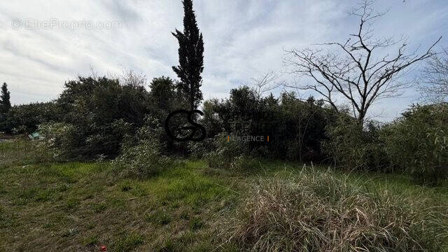 Terrain à AUDENGE