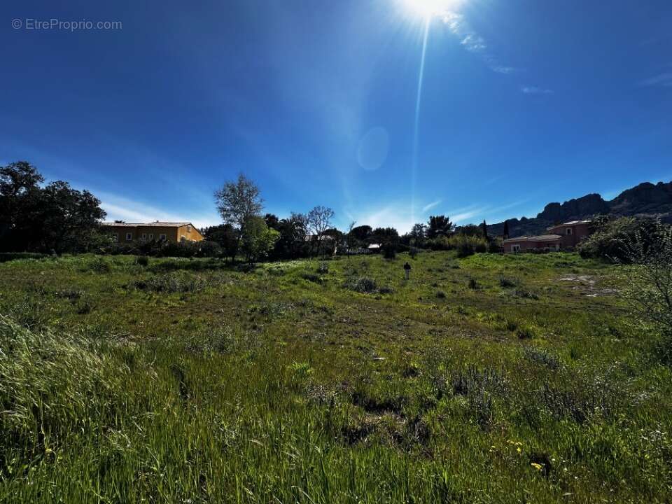Terrain à ROQUEBRUNE-SUR-ARGENS