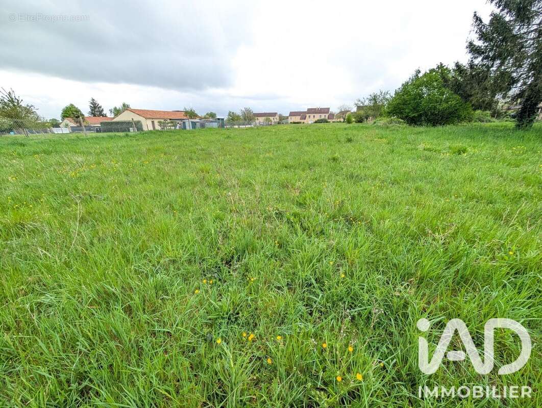 Terrain 4024 m² à Lussac-Les-Chateaux  - photo 5
