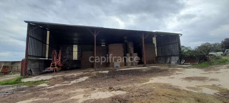 Maison à LURCY-LEVIS