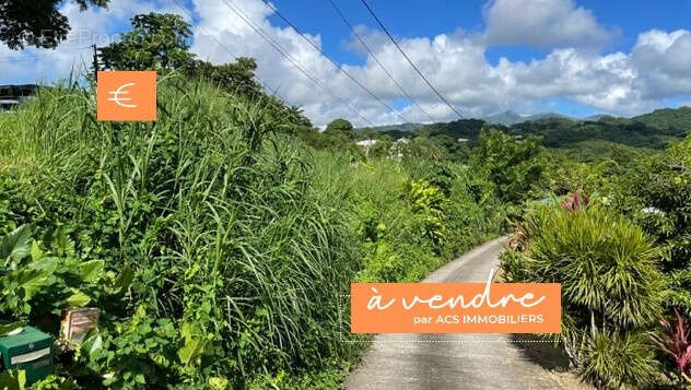 Terrain à SAINT-JOSEPH