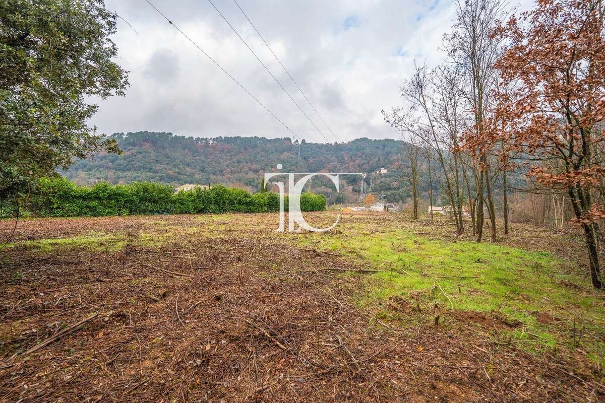 Terrain à CHAMBONAS