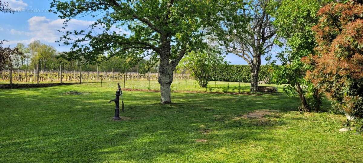Belle girondine au calme avec vue sur les vignes + gîte haut de gamme - photo 13
