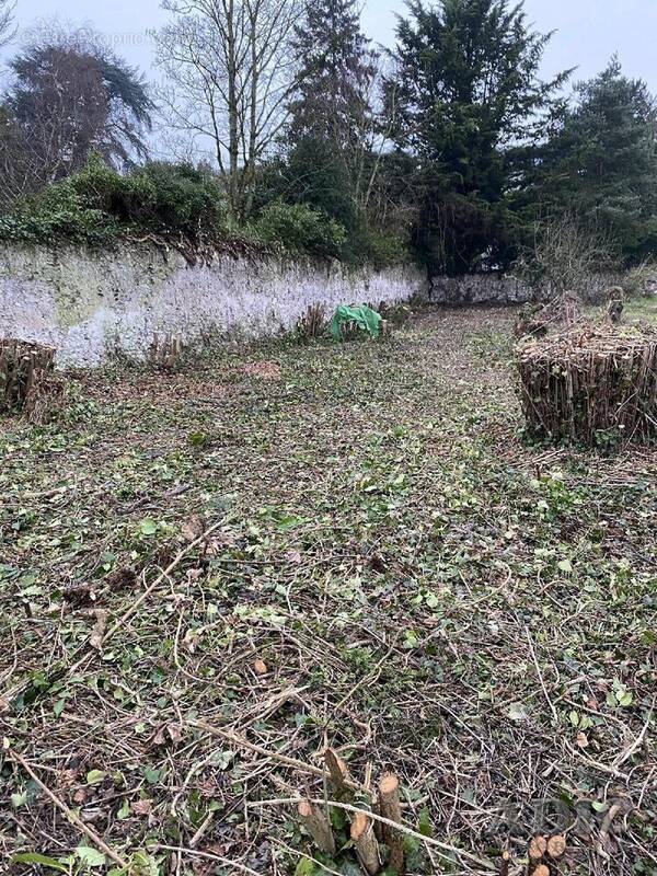 Terrain à DAMMARTIN-EN-GOELE