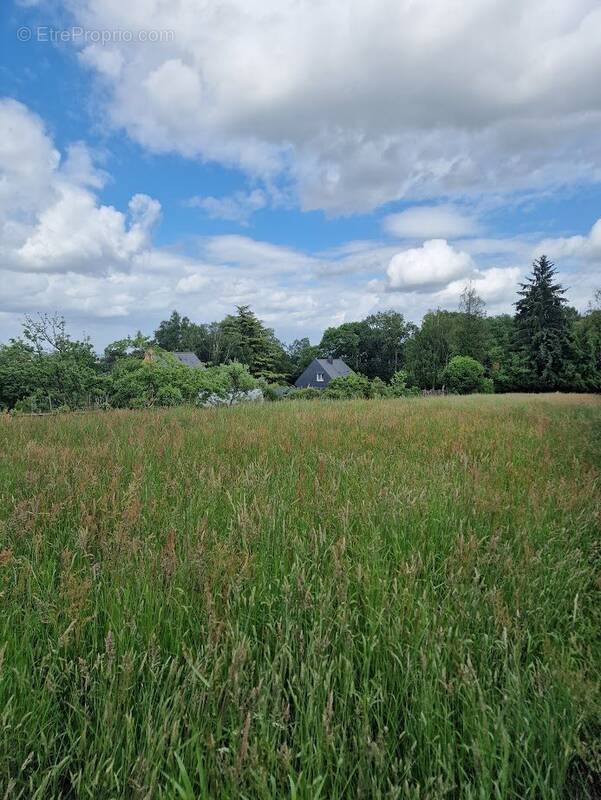 Terrain à SAINT-JEAN-LA-POTERIE