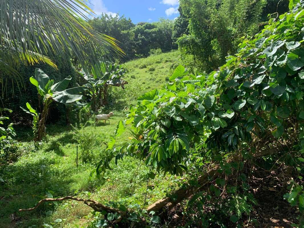 Photo 3 - Terrain à DUCOS