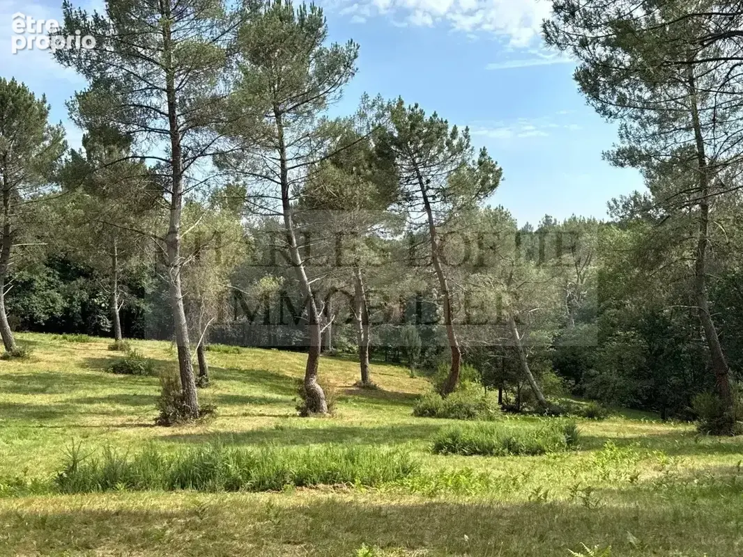 Une propriété de caractère au cœur de 20ha en Périgord Noir - photo 34