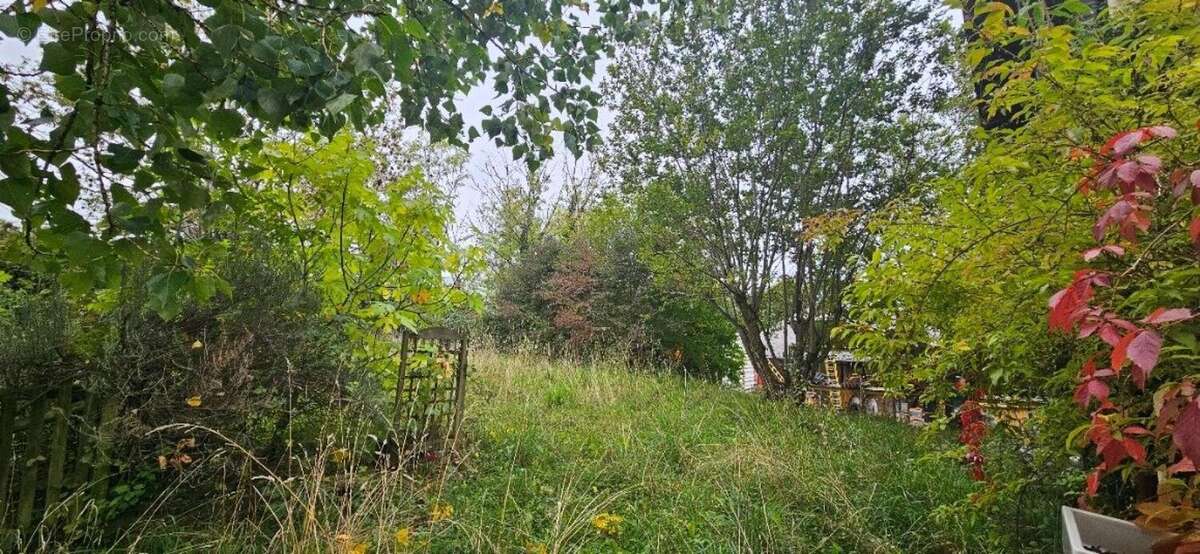 Photo 2 - Maison à QUINTAL