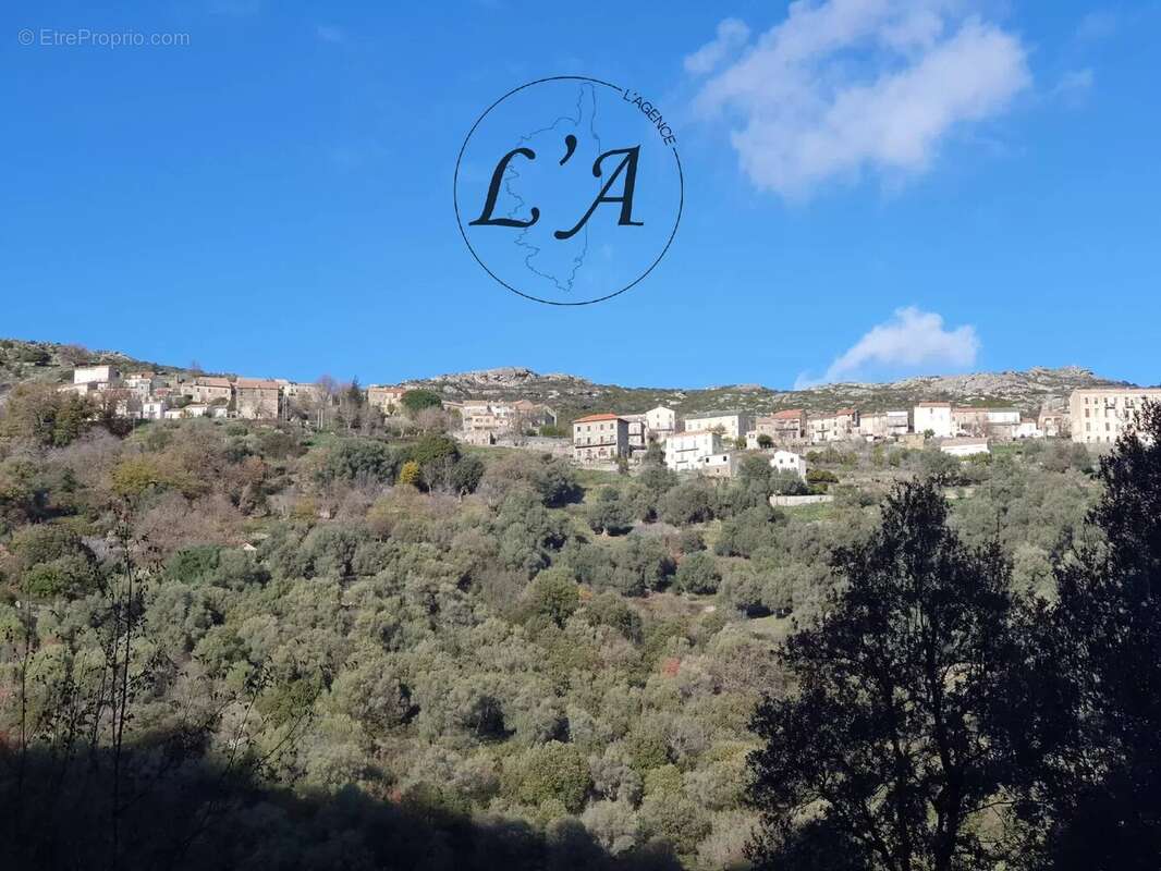 Appartement à SANTO-PIETRO-DI-TENDA