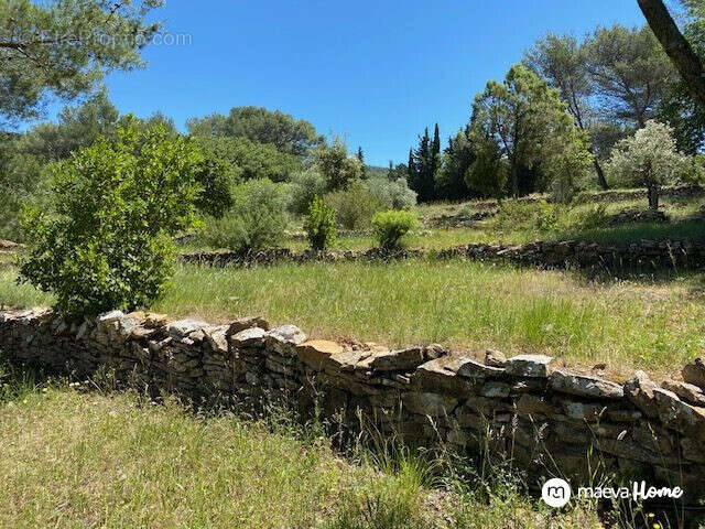 Terrain à LE BEAUSSET