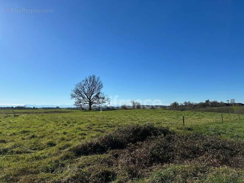 Dpt Gers (32), AIGNAN à vendre terrain de 4 400,00 m² - photo 4