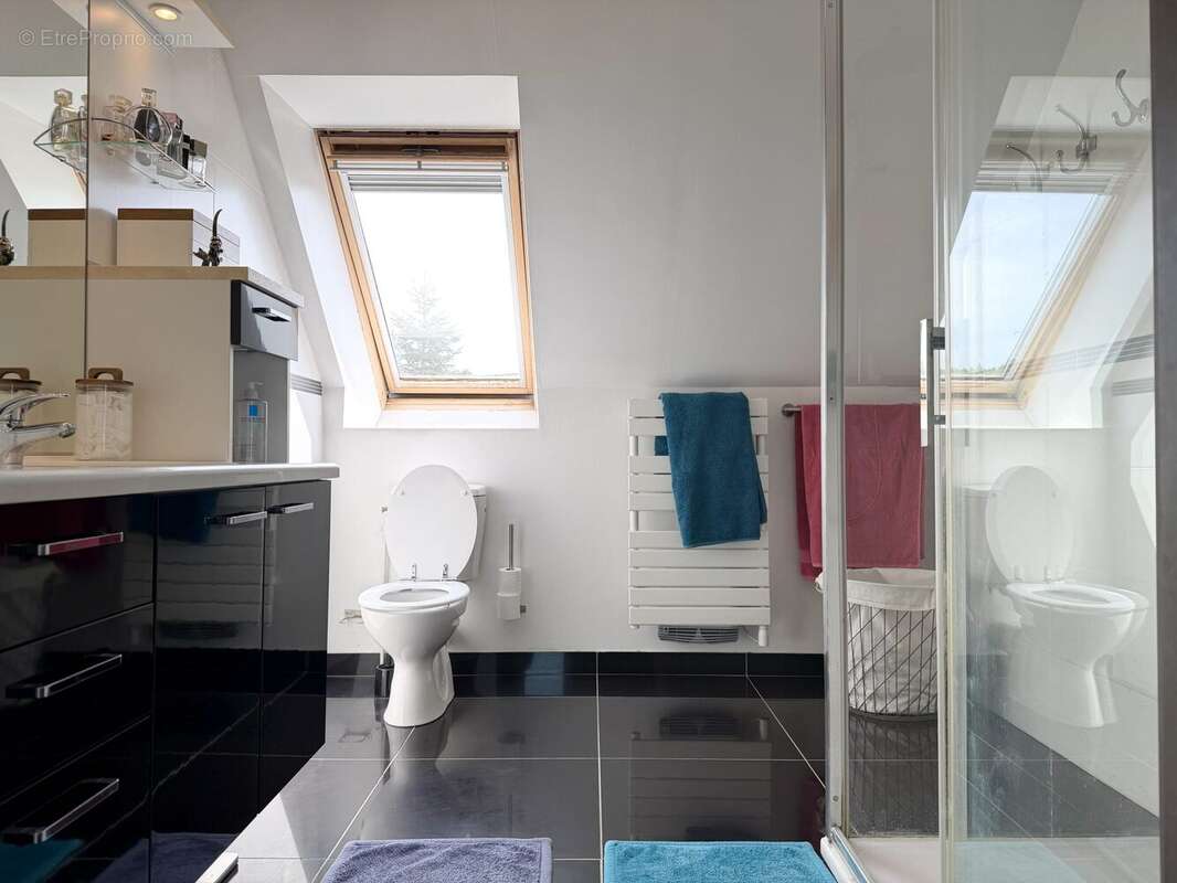 Salle d'eau privative/WC - Maison à TORCE-EN-VALLEE