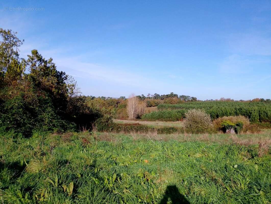 Maison à BAIGNES-SAINTE-RADEGONDE