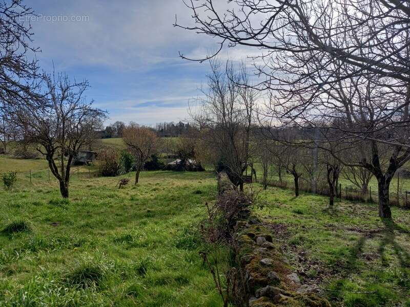 Maison à LA BASTIDE-L&#039;EVEQUE