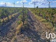 Photo 1 - Terrain à CANET