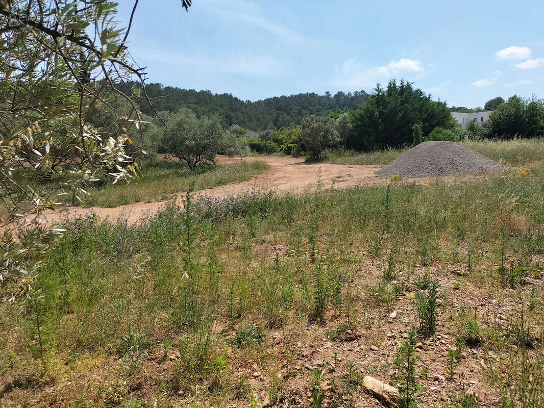 Terrain à CLERMONT-L'HERAULT