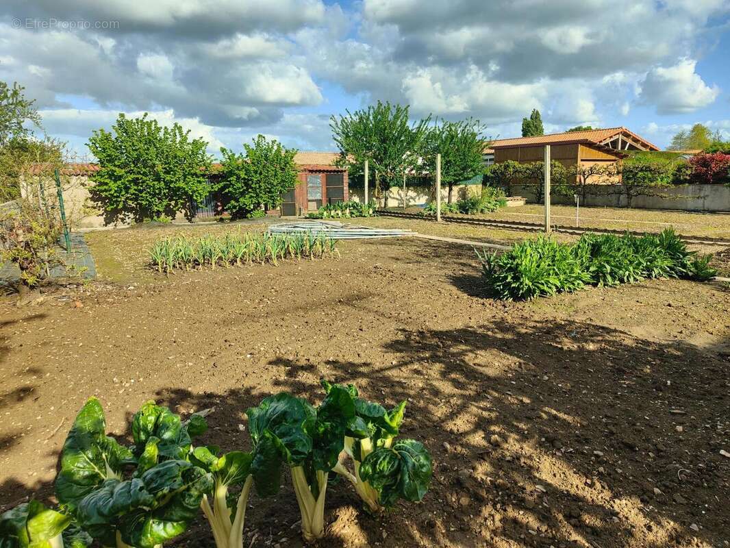 Photo 8 - Maison à SAINT-FULGENT