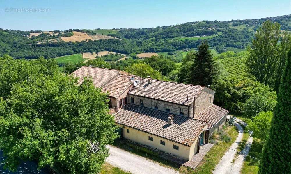 Ferme avec appartements, laboratoire de transformation et boutique à la ferme — Le Marche - photo 16