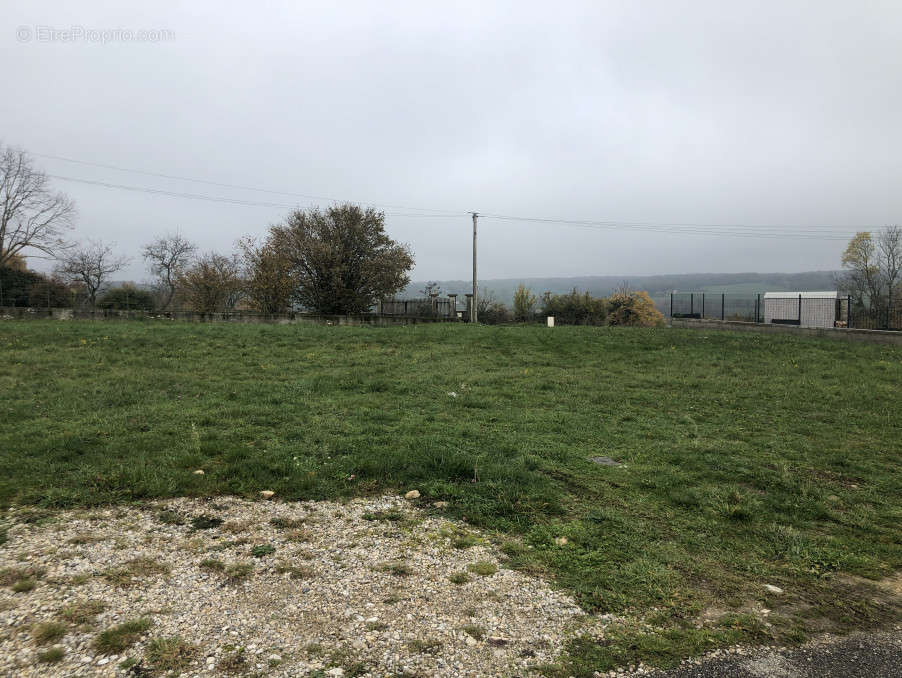 Terrain à POMMIER-DE-BEAUREPAIRE