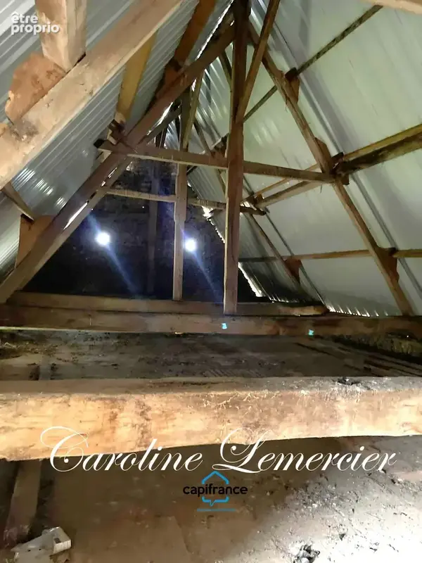 Maison à vendre 0 pièces proche de connerre (72) grange en pierre de 170 m² avec grnier sur toute la superficie , 2500 m² terrai - photo 10