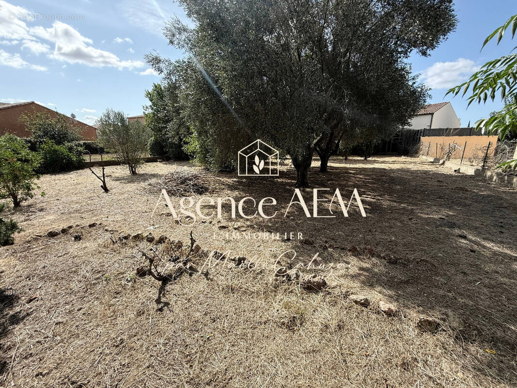 Terrain à NISSAN-LEZ-ENSERUNE