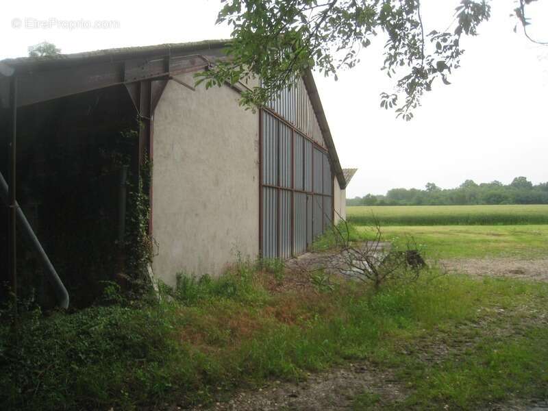 Maison à VILLARS-LES-DOMBES