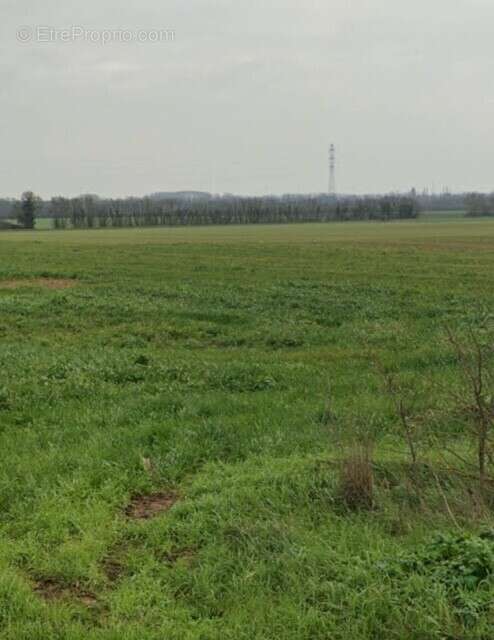À vendre : Terrain constructible à Villedoux - photo 3