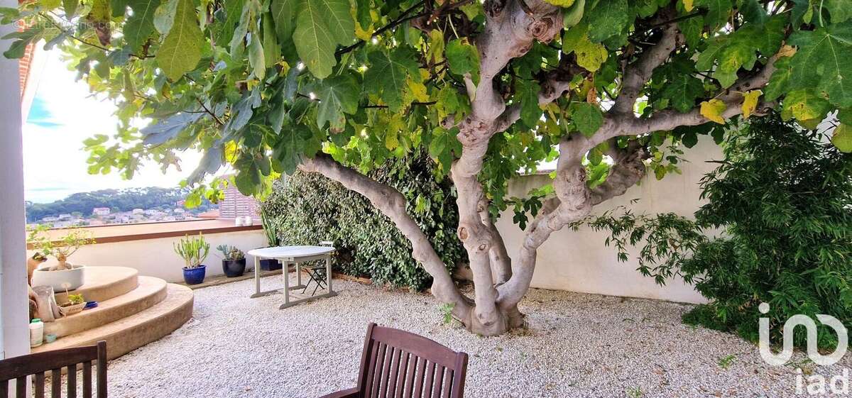 Photo 2 - Maison à OLLIOULES