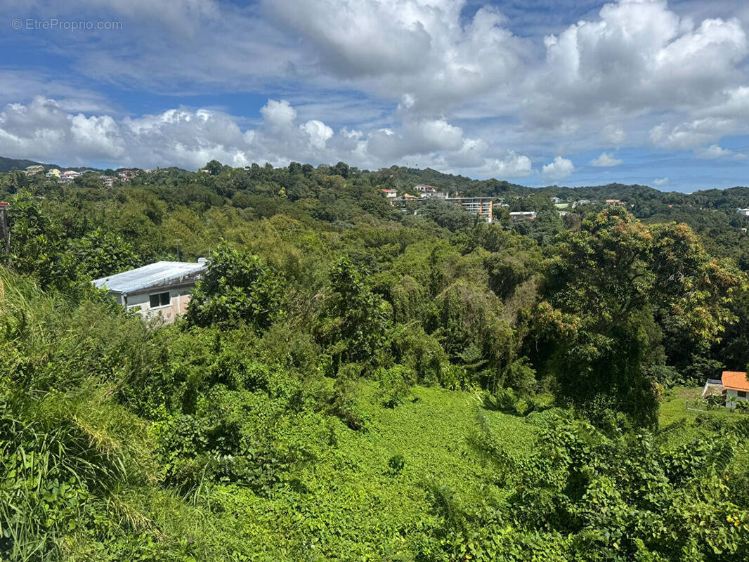 Terrain à FORT-DE-FRANCE
