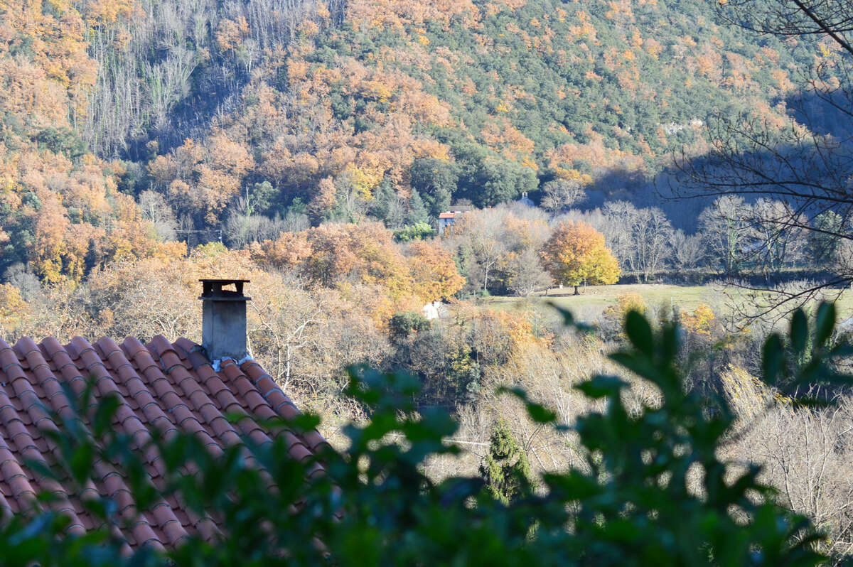 Maison à ARLES-SUR-TECH