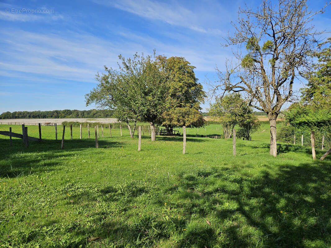 Maison à SAINT-MARTIN-EN-BRESSE