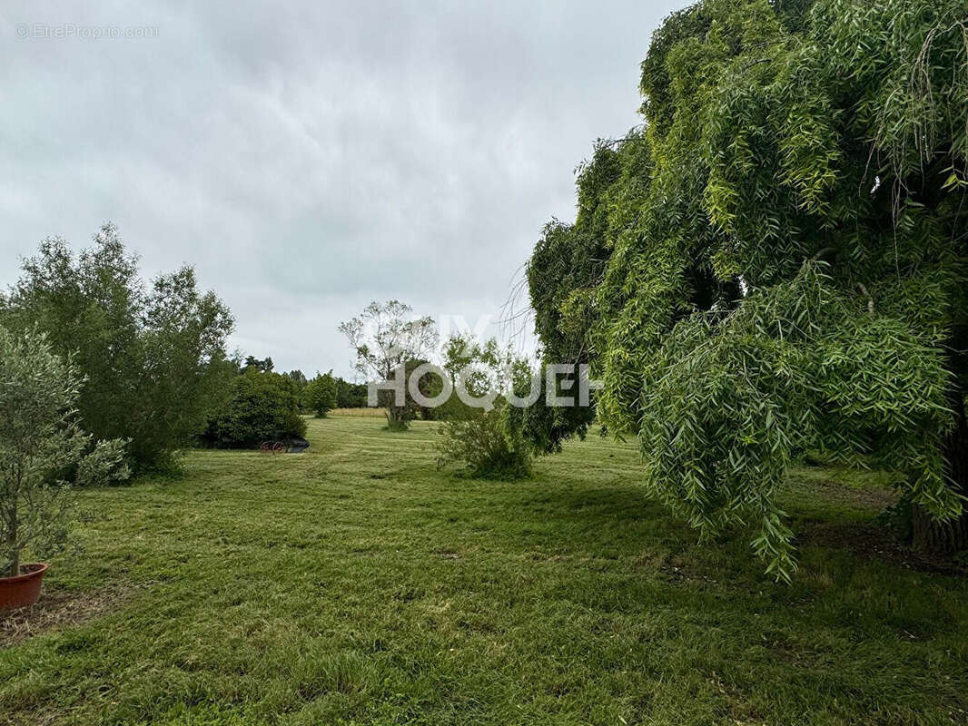 Maison à VERDUN-SUR-GARONNE
