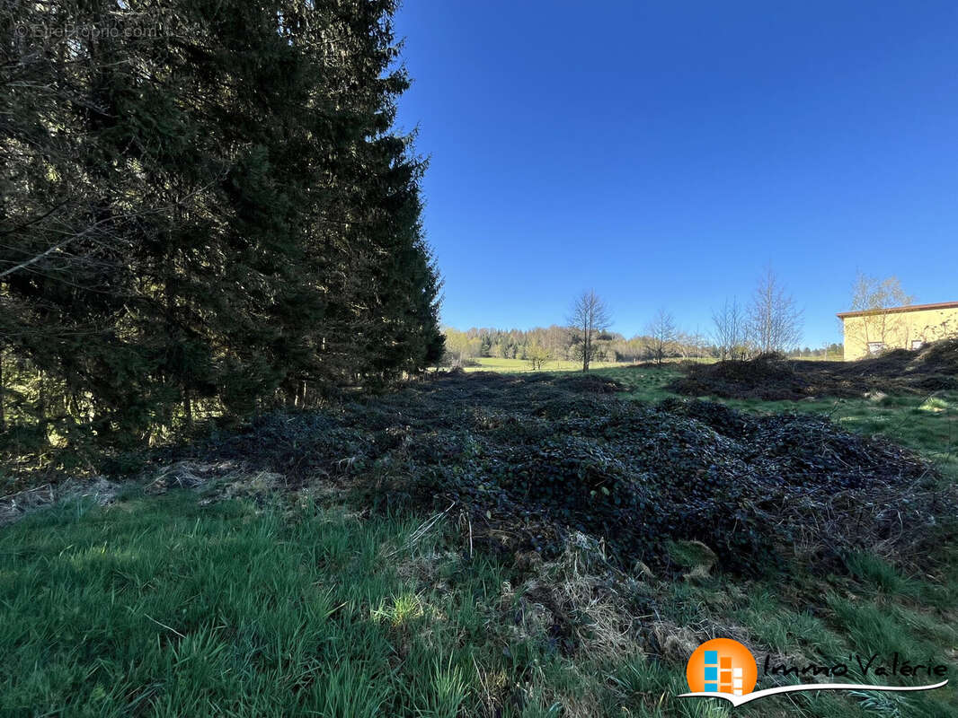 Terrain 2060 m² à Vimenil  - photo 8