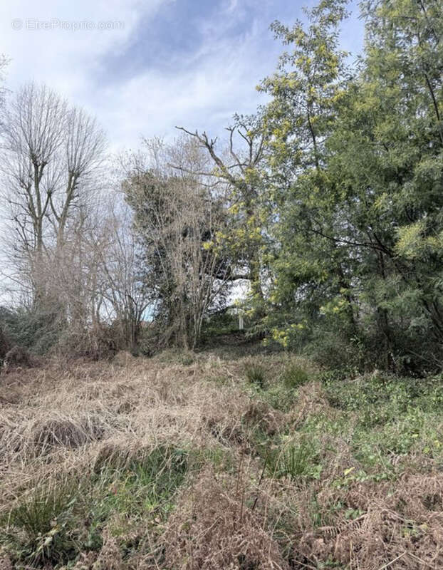 Terrain à BASSUSSARRY