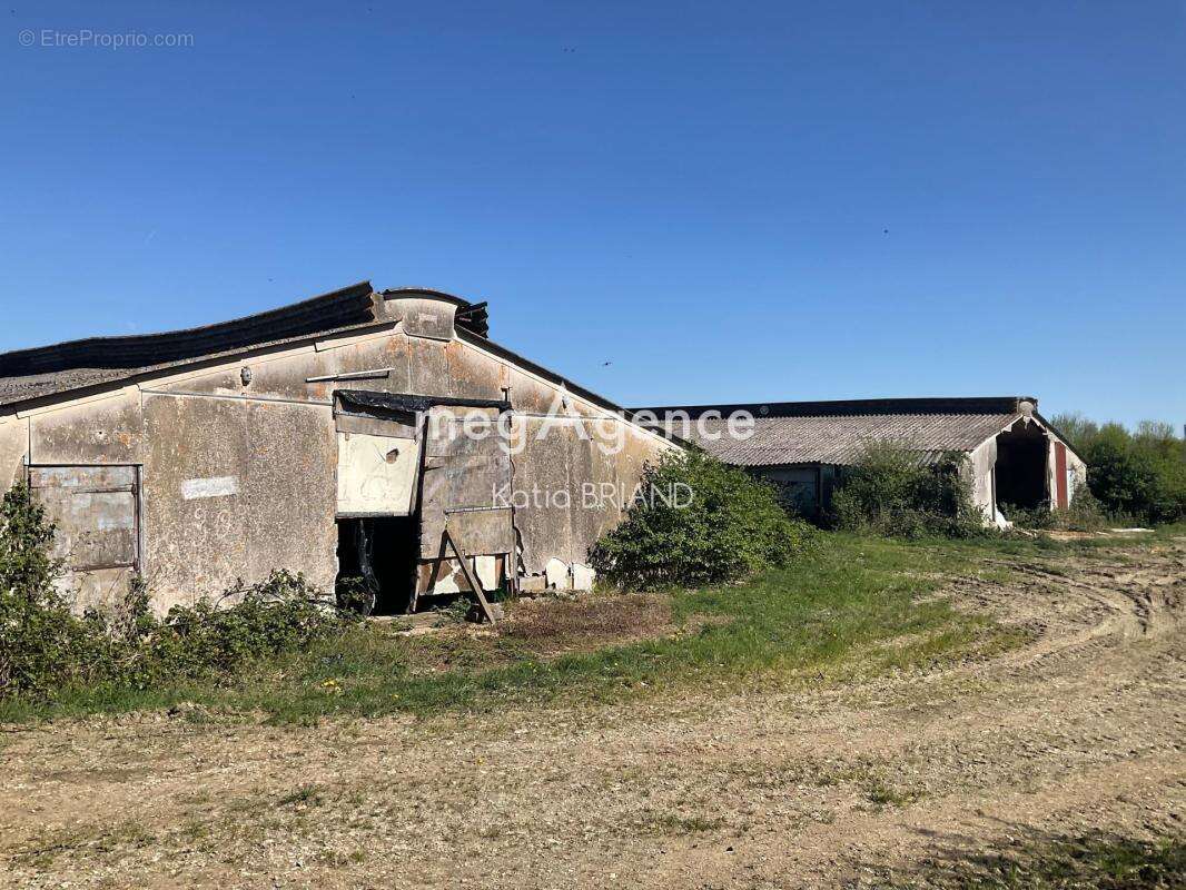 Maison et bâtiment sur Laval, terrain de 10780 m² - photo 4