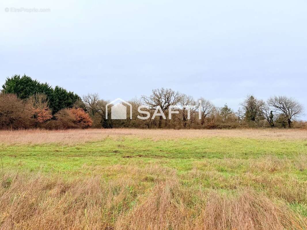 Terrain 11077 m² à Fontaine-Le-Comte  - photo 3
